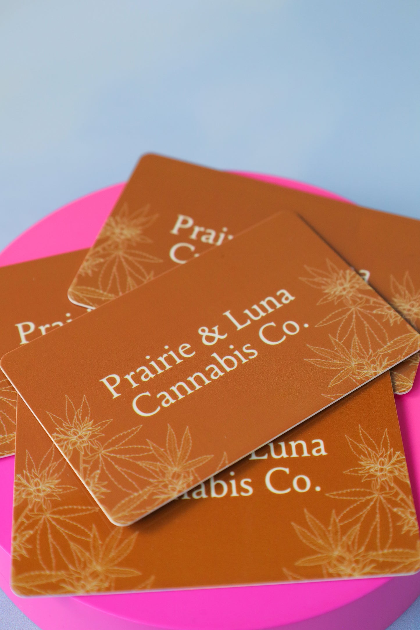 Prairie & Luna Accessory Boutique Gift Card