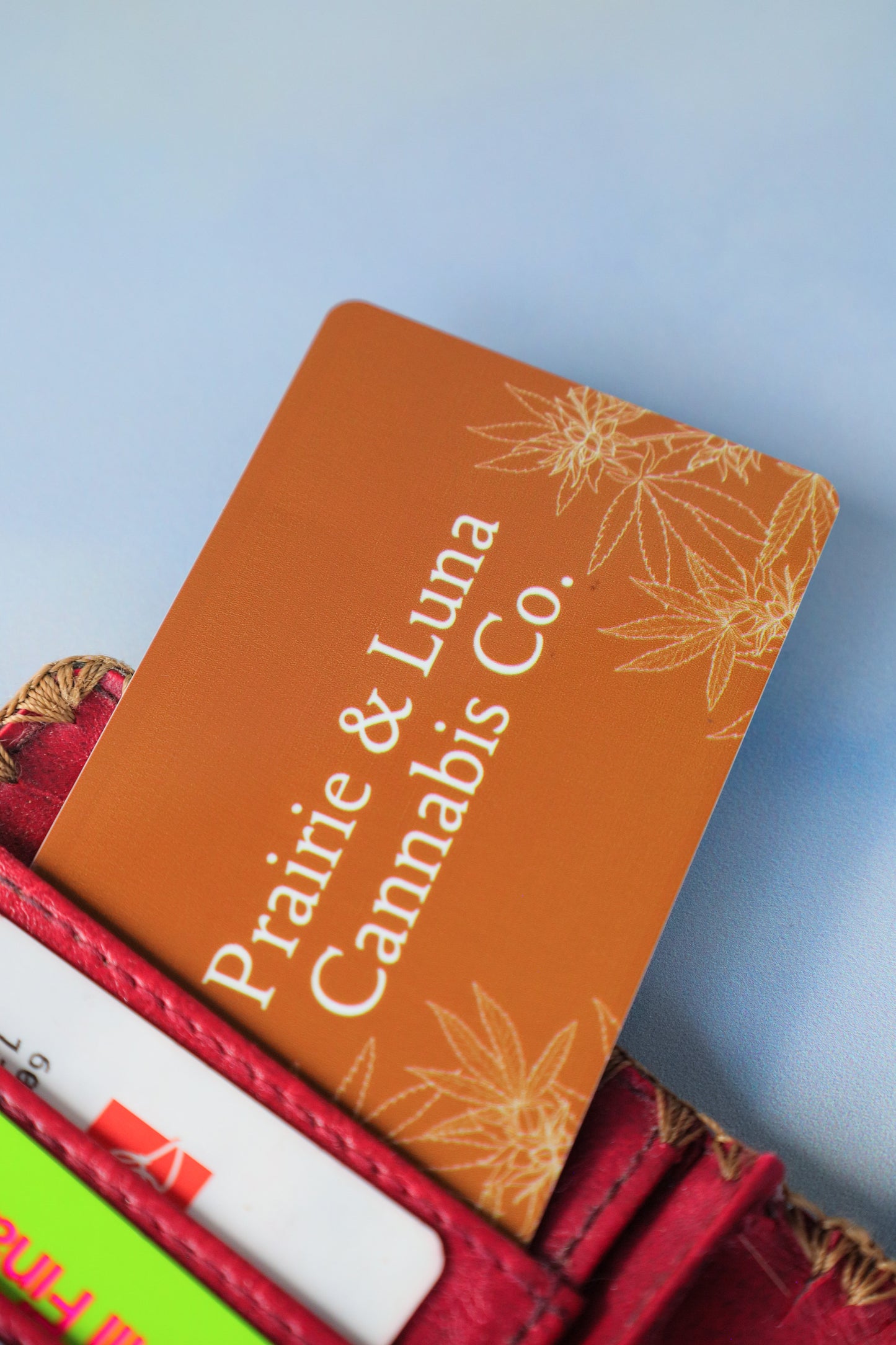 Prairie & Luna Accessory Boutique Gift Card