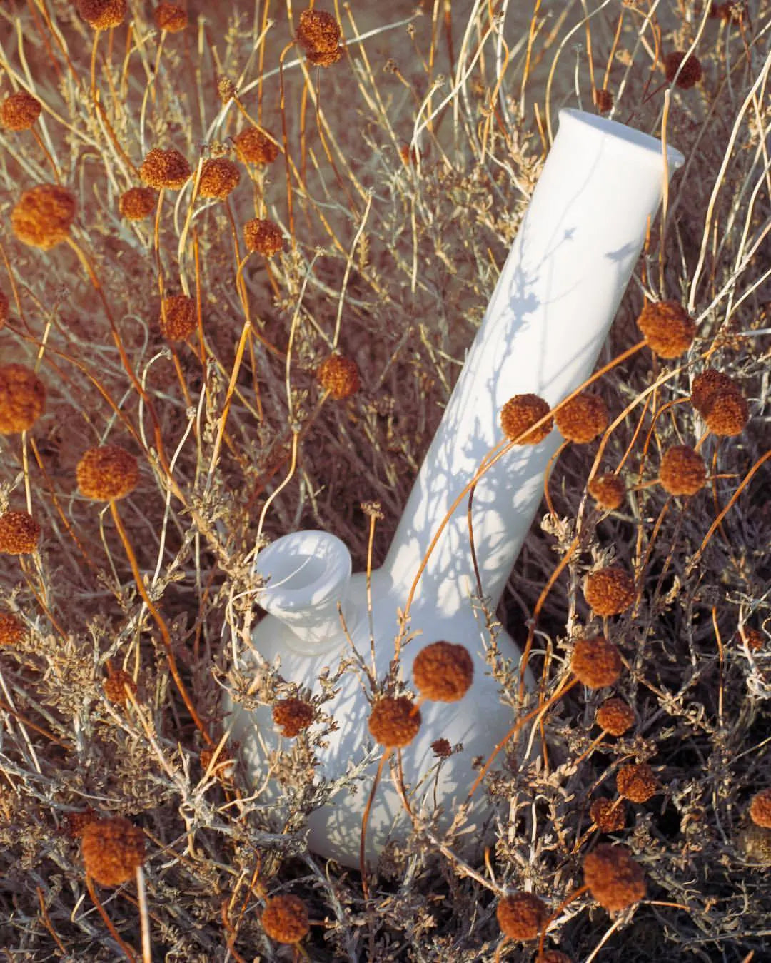 Chongo Bong - Summerland