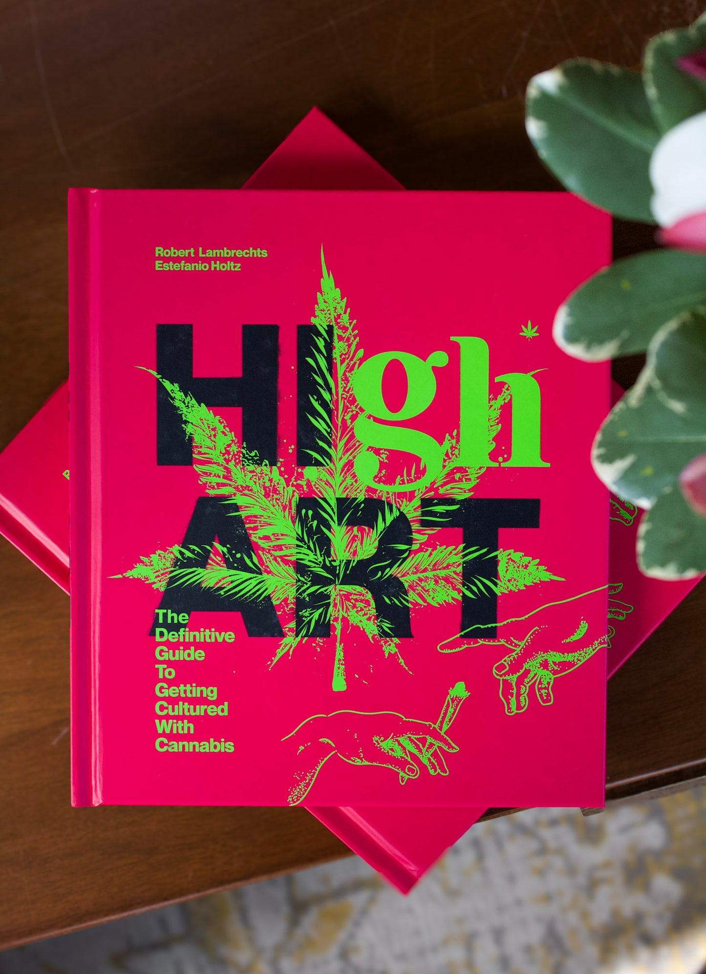 High Art: Definitive Guide to Getting Cultured with Cannabis