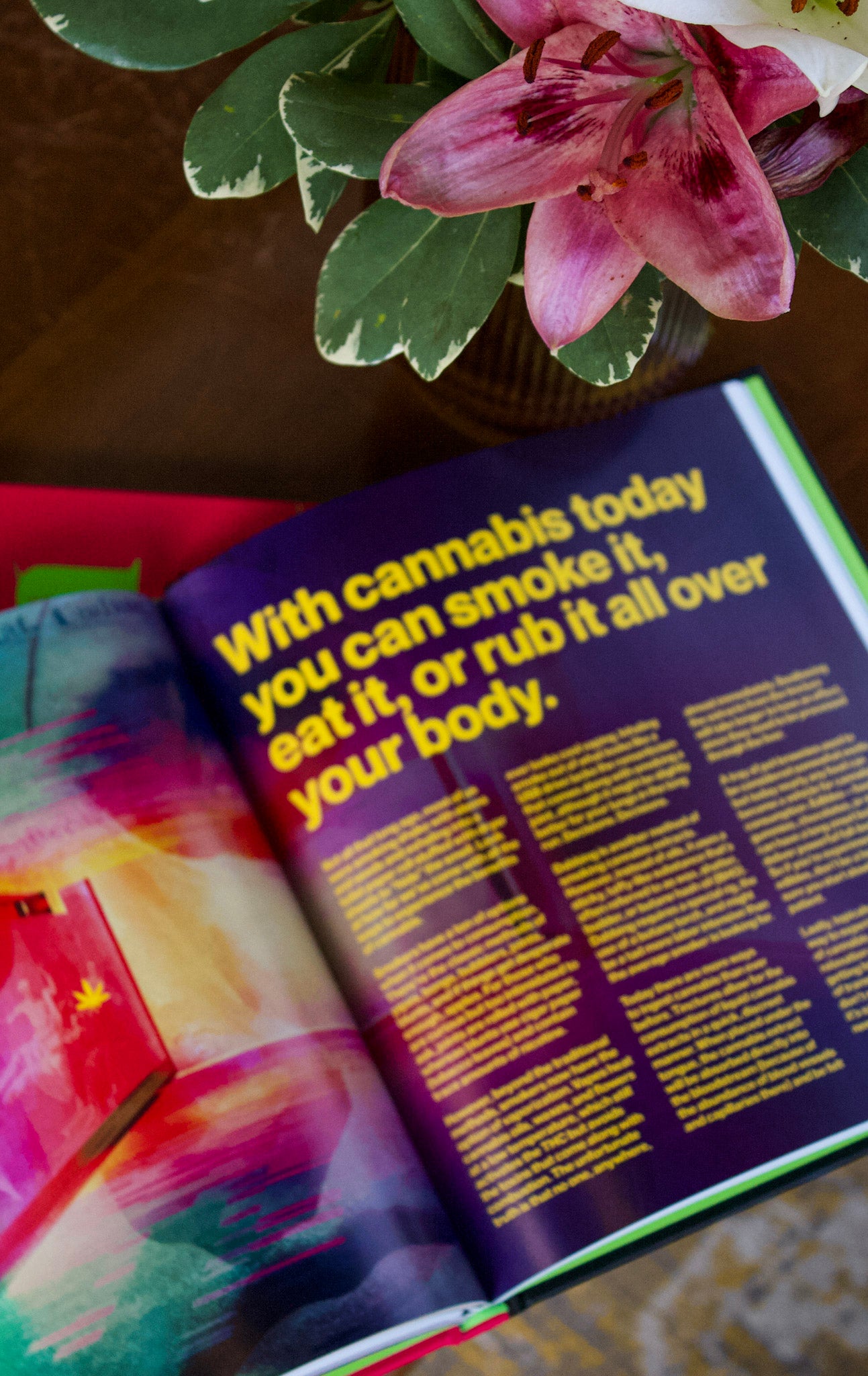 High Art: Definitive Guide to Getting Cultured with Cannabis